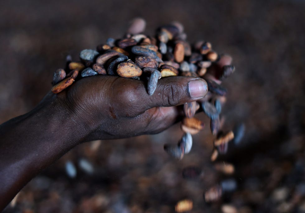 Brown, Photography, Nail, Ingredient, Kona coffee, Caffeine, 