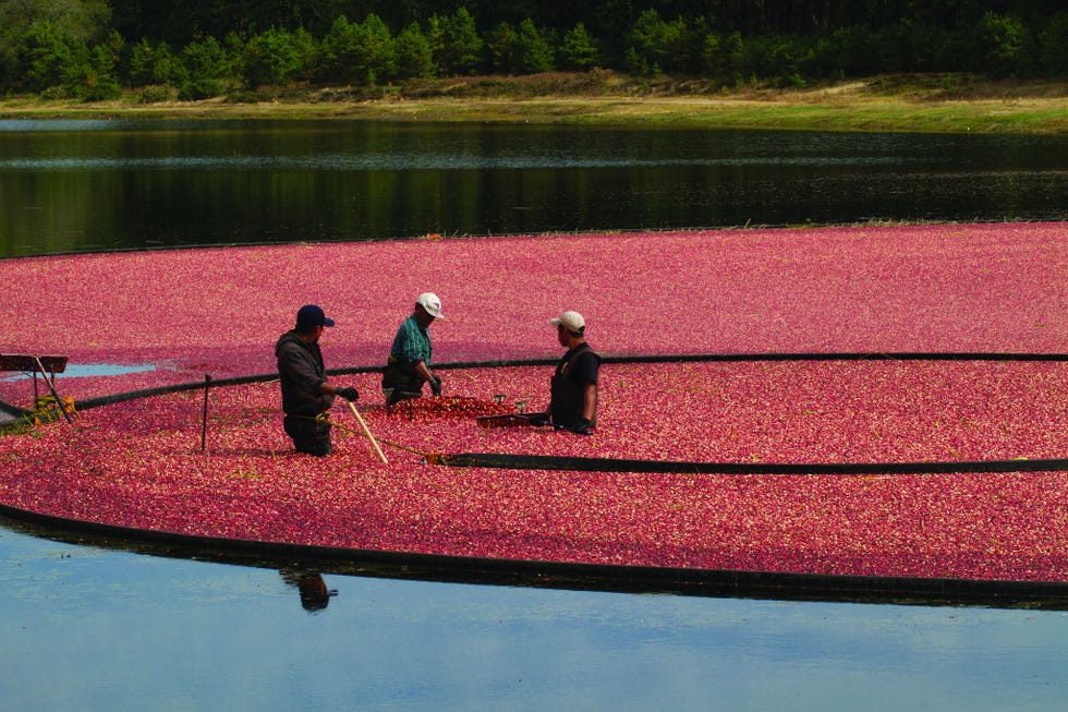 Leisure, People in nature, Reflection, Lake, Boats and boating--Equipment and supplies, Reservoir, Shadow, Leisure, People in nature, Reflection, Lake, Boats and boating--Equipment and supplies, Reservoir, Shadow,
