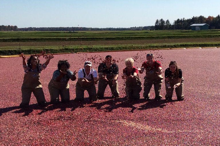Social group, Plain, Farm, Land lot, Field, People in nature, Agriculture, Team, Crew, Prairie, 