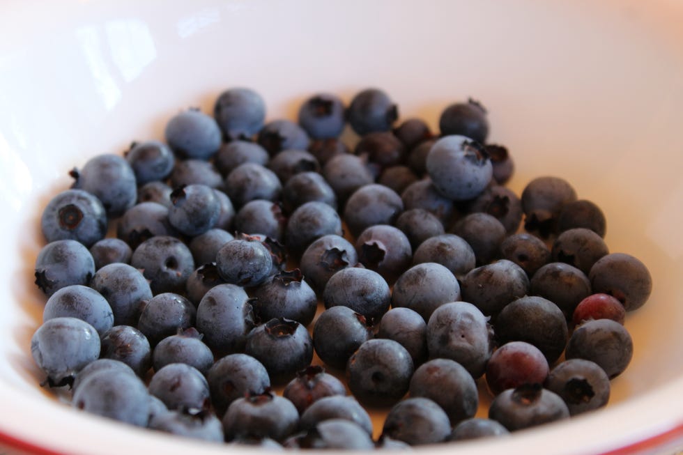 Lidey's Table - Oatmeal - Blueberries