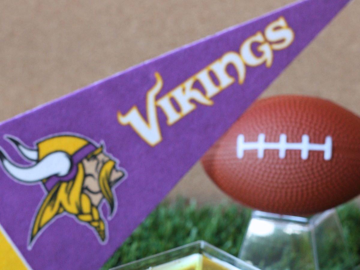 Minnesota Vikings Kitchen Supplies, Vikings Glassware, Serving Dish