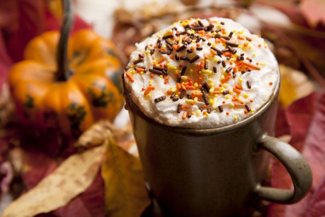 Cuisine, Food, Sweetness, Produce, Orange, Calabaza, Dish, Recipe, Snack, Dessert, 
