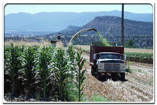 Motor vehicle, Vegetation, Mountainous landforms, Mountain range, Highland, Hill, Automotive exterior, Grille, Fender, Mountain, 