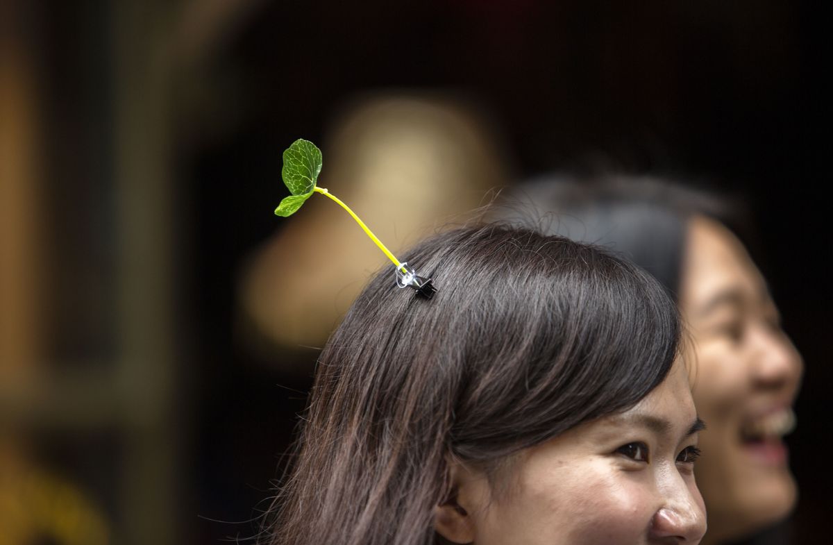 Apparently Bean Sprouts and Vegetables are Hair Accessories Now 