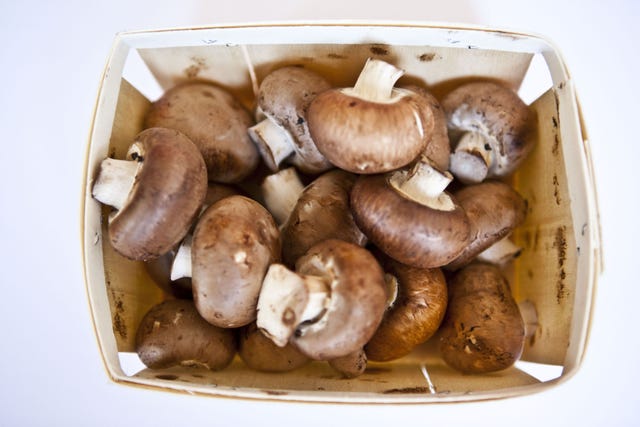 Brown, Organism, Ingredient, Natural foods, Agaricaceae, Whole food, Local food, Produce, Still life photography, Pleurotus eryngii, 