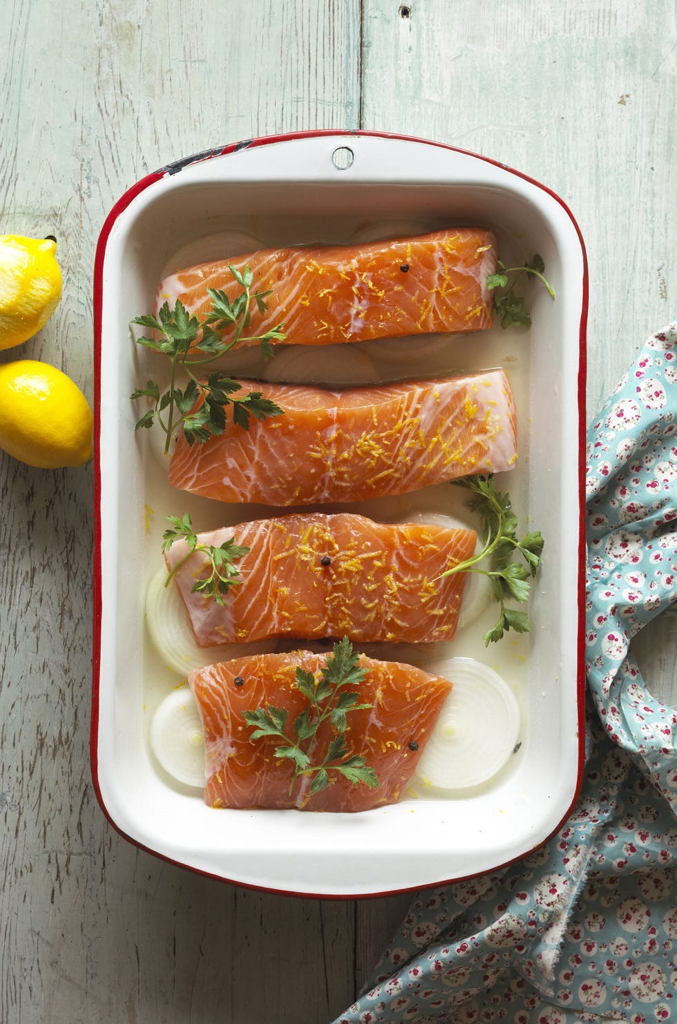 Salmon