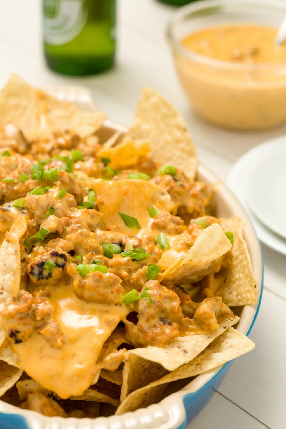 Hissy Fit Nachos Vertical