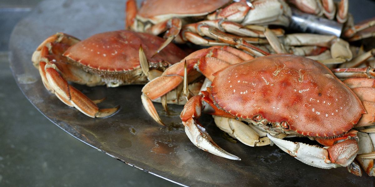 California Dungeness Crab Warning Dungeness and Rock Crabs Contain