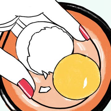 Orange, Elbow, Muscle, Knee, Artwork, Graphics, Illustration, Egg yolk, Abdomen, Stomach, Orange, Elbow, Muscle, Knee, Artwork, Graphics, Illustration, Egg yolk, Abdomen, Stomach,
