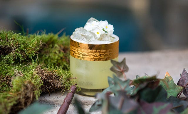 Petal, Still life photography, Non-vascular land plant, Moss, Cylinder, 