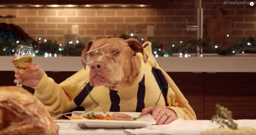 Freshpet Holiday Dinner Commercial - These Adorable Dressed-Up Dogs ...