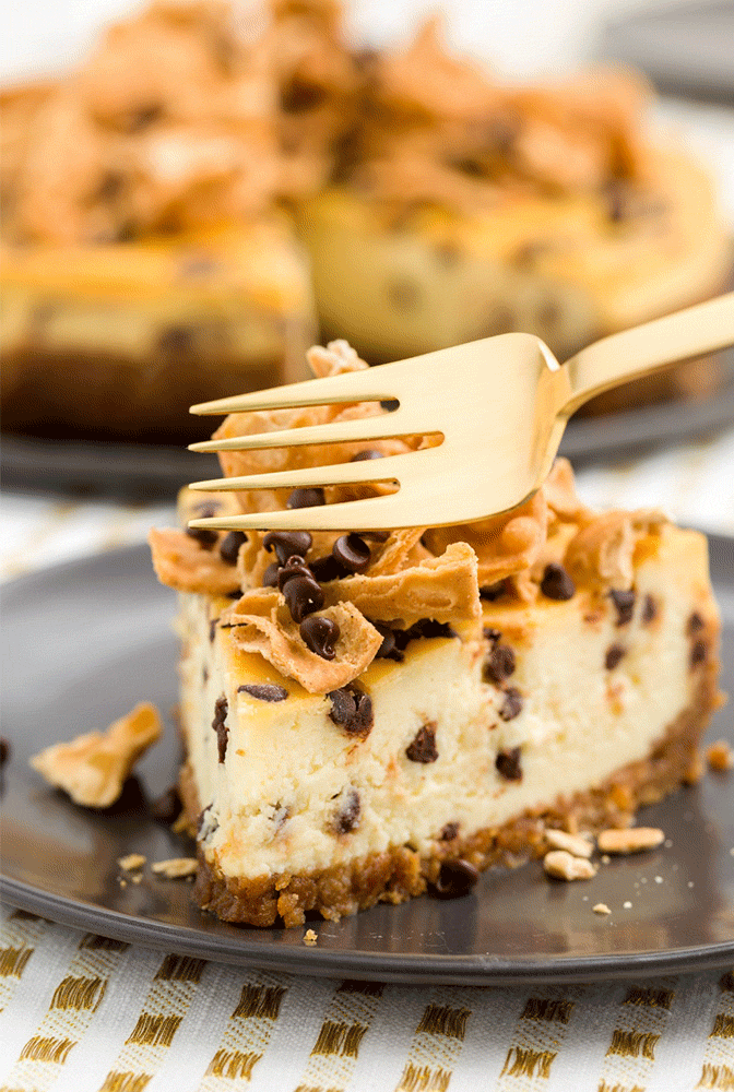 delish-cannoli-cheesecake-gif