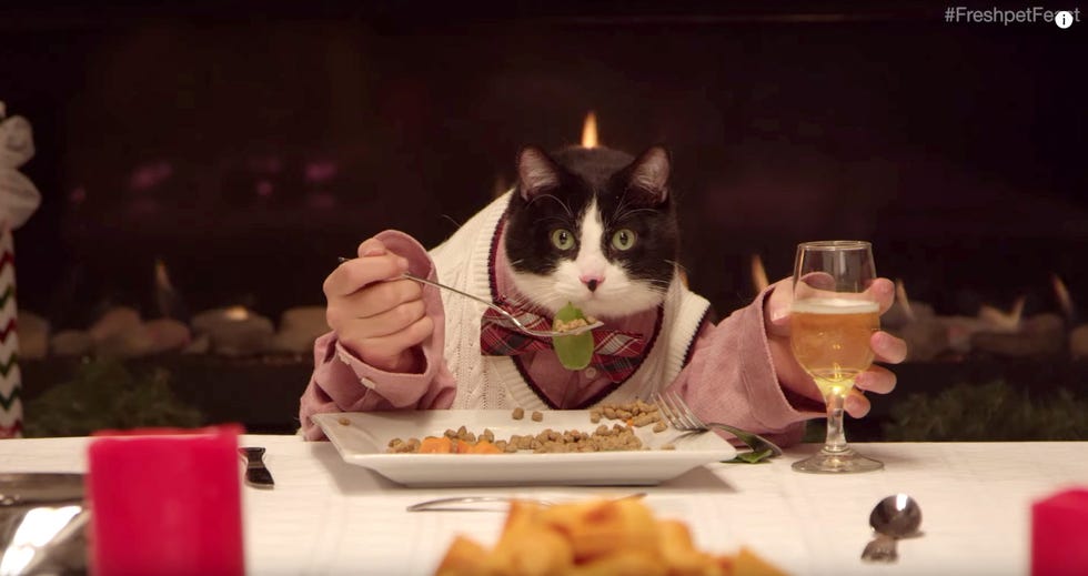 Serveware, Dishware, Food, Tableware, Drinkware, Cuisine, Stemware, Small to medium-sized cats, Plate, Fried food, 