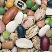 Rock, Ingredient, Pebble, Collection, Natural material, Oval, Sweetness, Mixture, Confectionery, Gravel, 