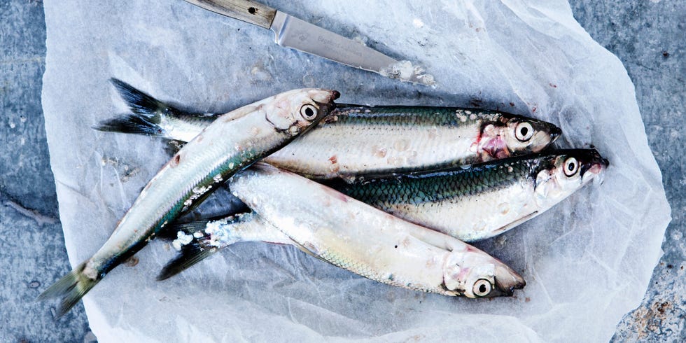 Vertebrate, White, Pink, Fish, Fish, Seafood, Grey, Close-up, Fin, Anchovy (food), 