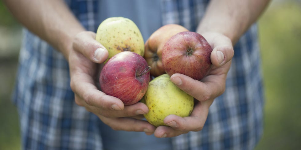 Human, Finger, Skin, Plaid, Fruit, Food, Local food, Vegan nutrition, Produce, Natural foods, 