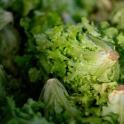 Green, Leaf vegetable, Food, Ingredient, Vegetable, Cruciferous vegetables, Produce, Whole food, Salad, Vegan nutrition, 