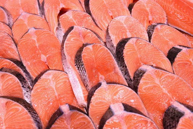 salmon