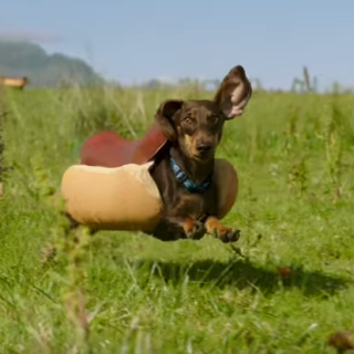 Heinz Super Bowl commercial