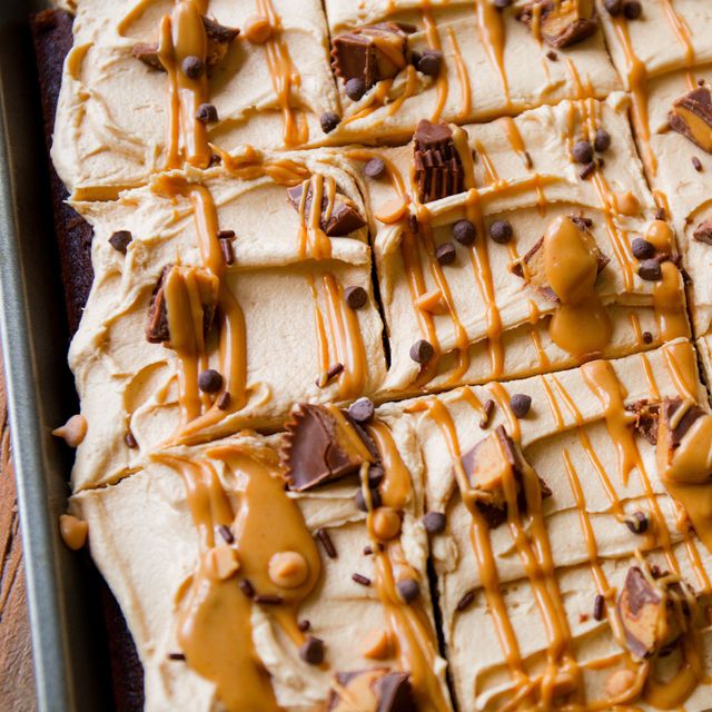 Best Peanut Butter Sheet Cake Recipe How To Make Peanut Butter Sheet Cake