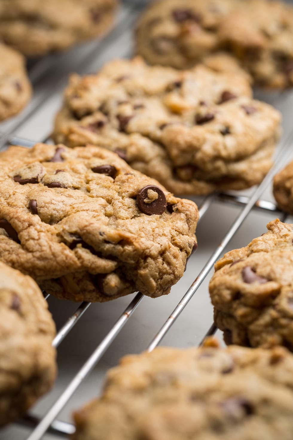 DoubleTree Chocolate Chip Cookies