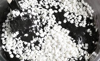 Petal, White, Flower, Monochrome, Monochrome photography, Black-and-white, Annual plant, Blossom, Cut flowers, Alyssum, 