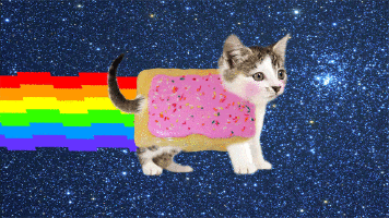 Nyan Cat