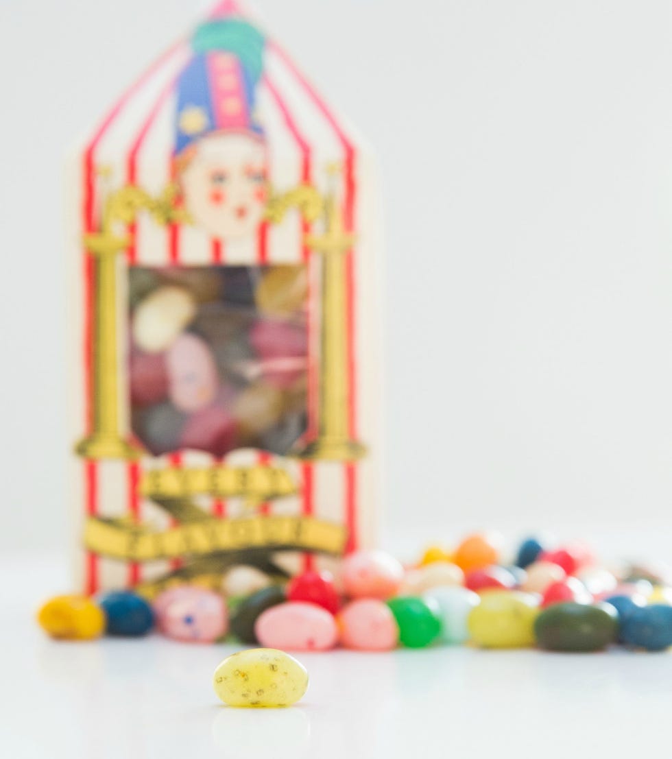 Sweetness, Pet supply, Ingredient, Confectionery, Candy, Baby toys, Building sets, Cage, Toy, Playset, 