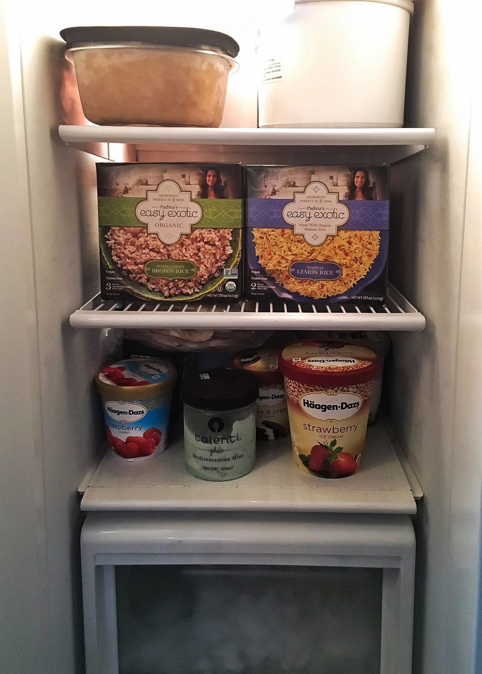 Padma Lakshmi's Freezer