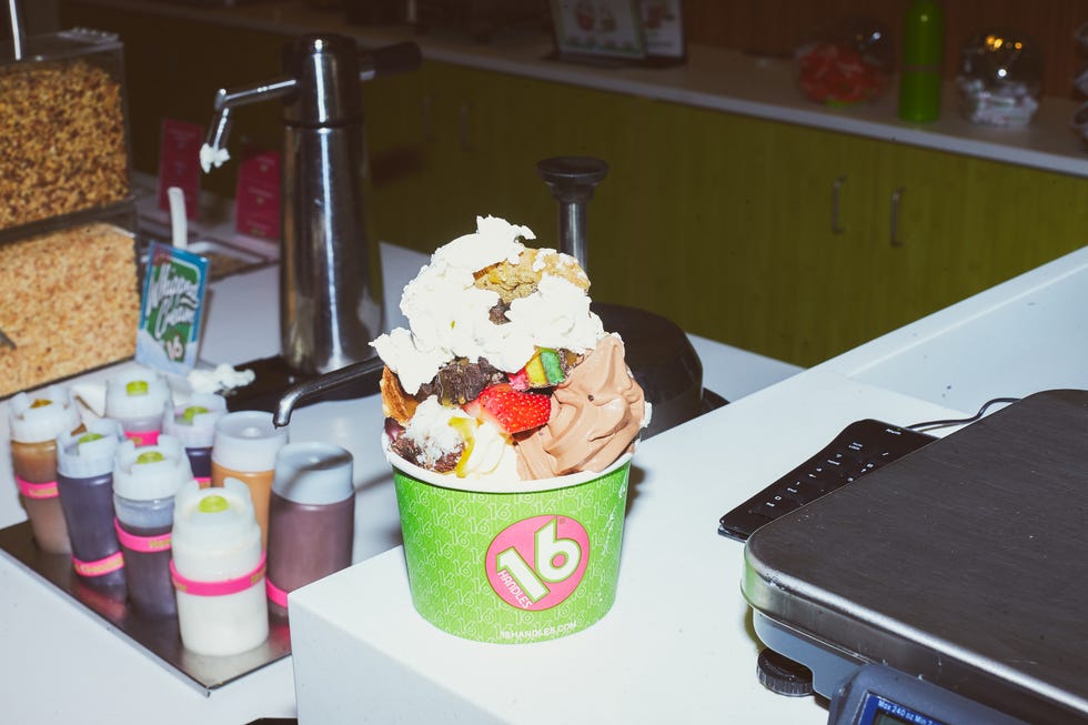 Holly Madison's Fro-yo order