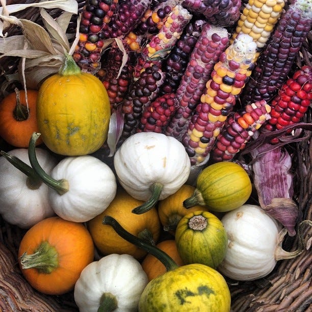 Natural foods, Winter squash, Vegetable, Local food, Whole food, Gourd, Superfood, Fruit, Pumpkin, Food, Natural foods, Winter squash, Vegetable, Local food, Whole food, Gourd, Superfood, Fruit, Pumpkin, Food,