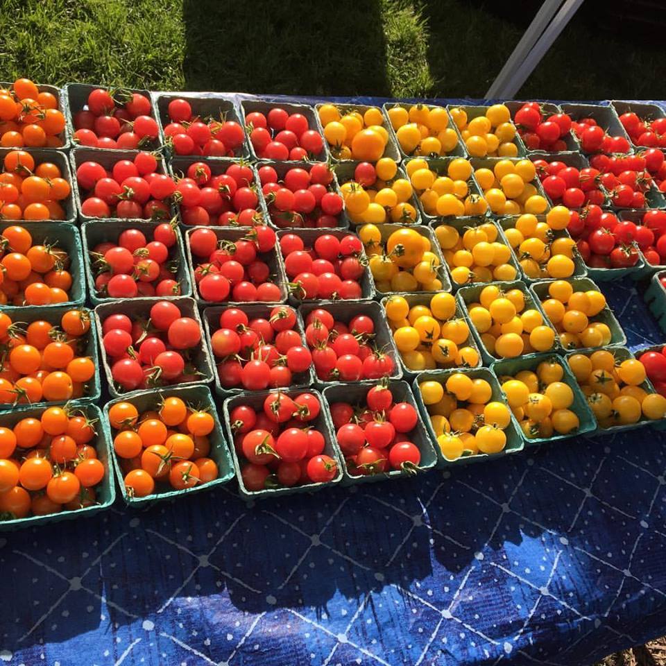 Natural foods, Local food, Vegetable, Whole food, Fruit, Solanum, Tomato, Food, Plant, Produce, 