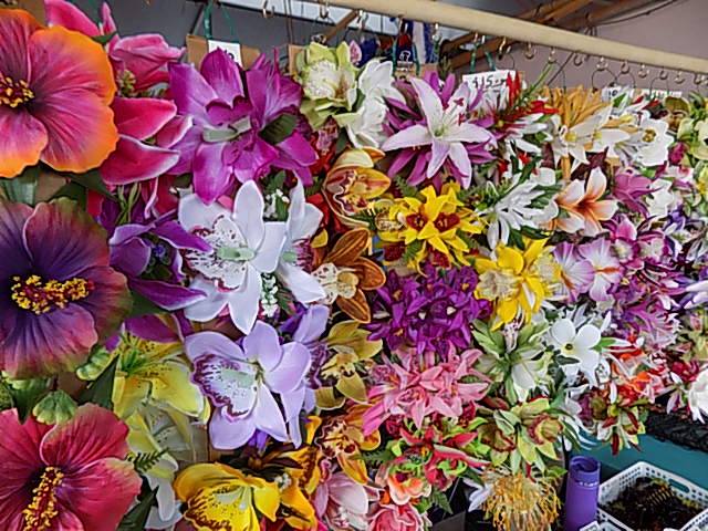 Flower, Plant, Flowering plant, Petal, Spring, Cut flowers, Floristry, Floral design, Wildflower, Annual plant, 
