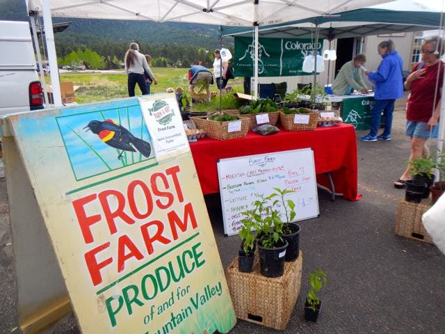 Local food, Public space, Community, Organism, Market, Plant, Vegetable, Marketplace, City, Banner, 