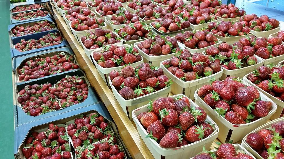 Natural foods, Local food, Food, Marketplace, Whole food, Fruit, Plant, Superfood, Produce, Market, 