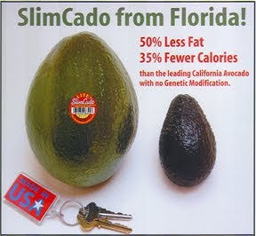 Whole food, Natural foods, Collection, Produce, Natural material, Cucumber, gourd, and melon family, 