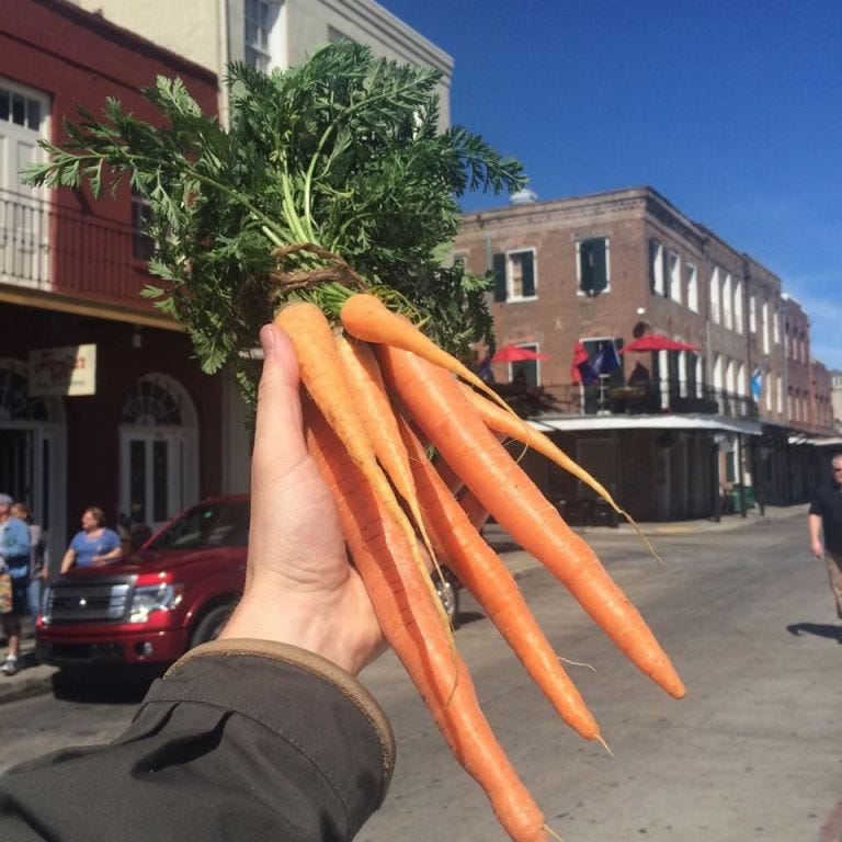 Carrot, Tree, Plant, Vegetable, Hand, Root vegetable, Carrot, Tree, Plant, Vegetable, Hand, Root vegetable,
