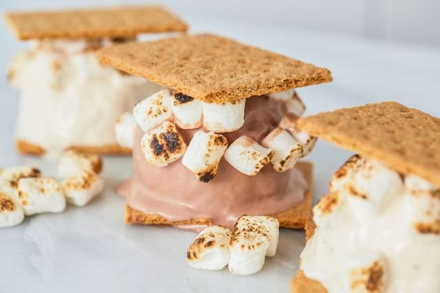 Best S Mores Ice Cream Sandwiches Recipe