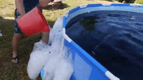 fizz pool