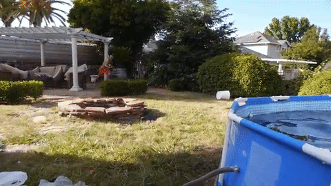 jump into pool
