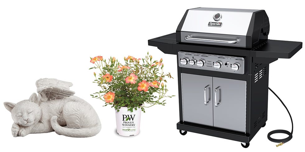 Flower, Flowerpot, Petal, Flowering plant, Bouquet, Kitchen appliance accessory, Cut flowers, Vase, Flower Arranging, Artificial flower, 