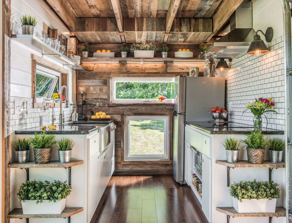 Plant, Lighting, Interior design, Ceiling, Flowerpot, Real estate, Interior design, Houseplant, Beam, Light fixture, 