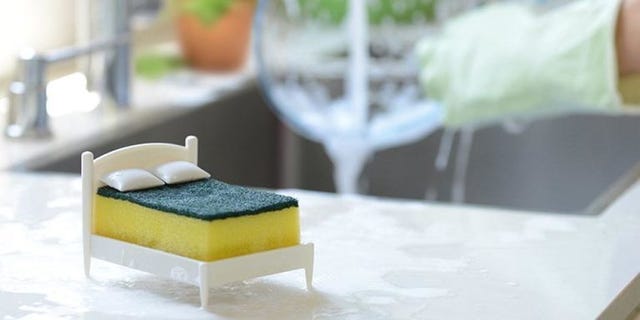 sponge bed
