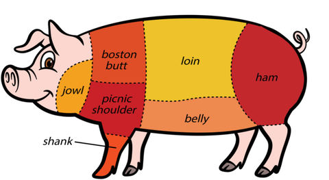 What part of the pig does bacon come from diagram