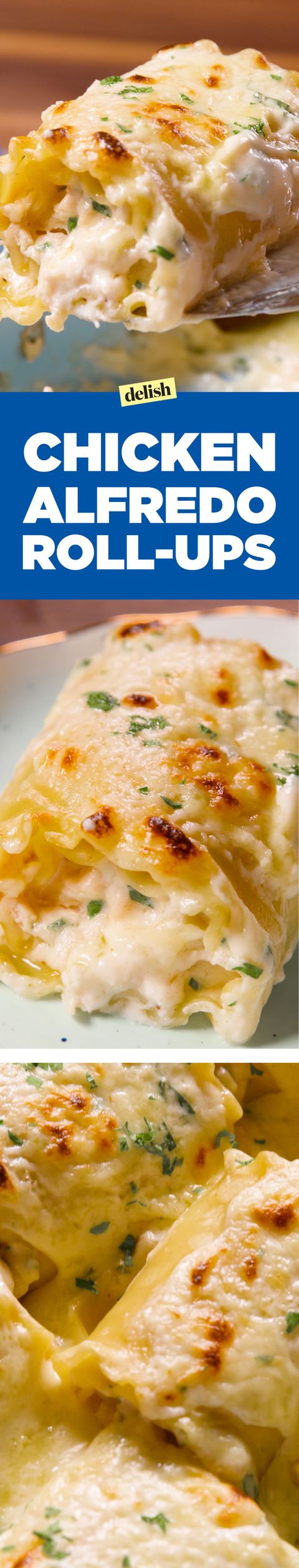 Alfredo Lovers Will Freak Out Over These Chicken Alfredo Roll Ups