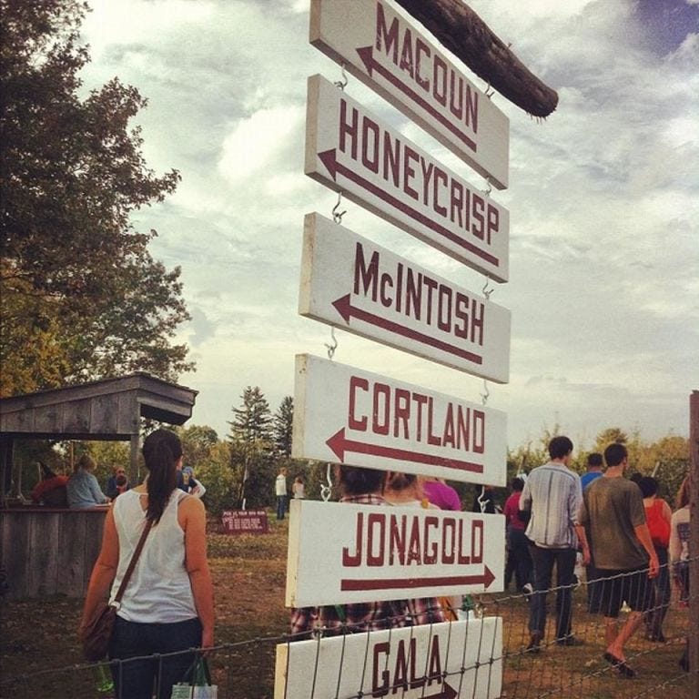 Russell Orchards