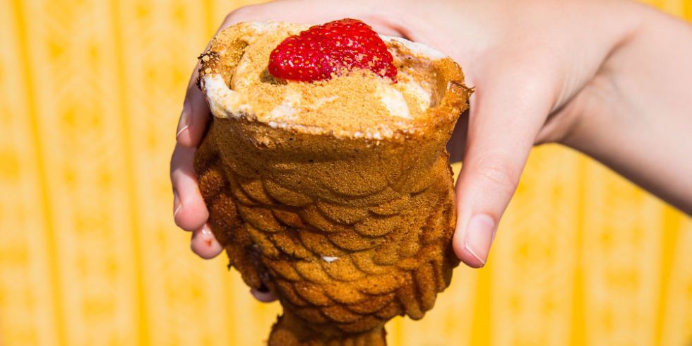 Craziest Foods at the Minnesota State Fair - What to Eat 