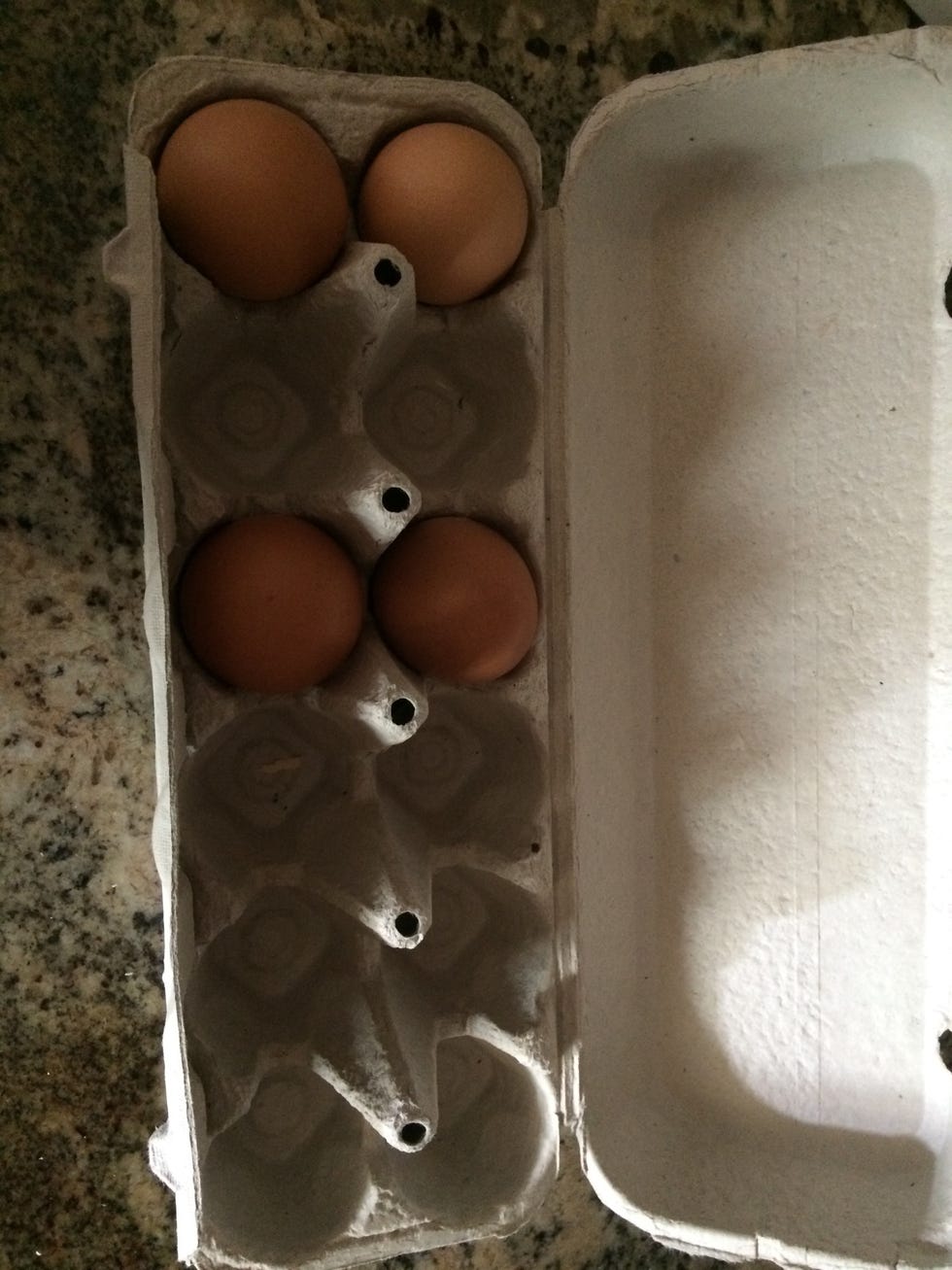 Egg, Egg, Oval, Tray, 