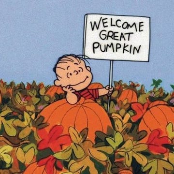Squash, Vegetable, Produce, Calabaza, Winter squash, Pumpkin, Orange, Natural foods, Gourd, Cucurbita, 