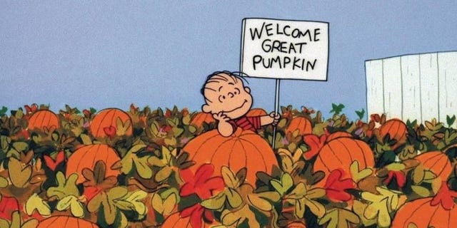 Squash, Vegetable, Produce, Calabaza, Winter squash, Pumpkin, Orange, Natural foods, Gourd, Cucurbita, 
